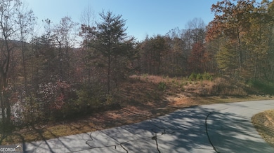 LOT 197 Springwinds Dr, Cleveland, GA 30528 - photo 4