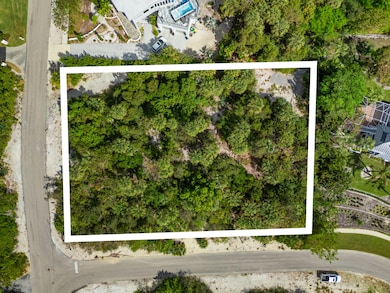 Oversized Lot