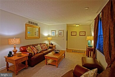 6 Vassar Dr, Rehoboth Beach, DE 19971 - photo 4