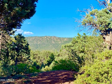 Cypress Hills Lots 17 & 18 --, Pine, AZ 85544 - photo 2