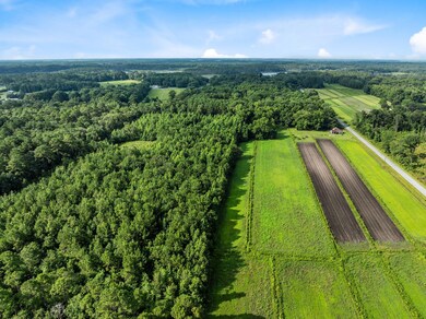 0 Oakville Rd unit 25032033, Hollywood, SC 29449 - photo 5