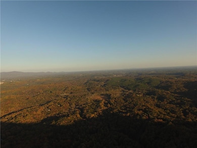 View of bird's eye view