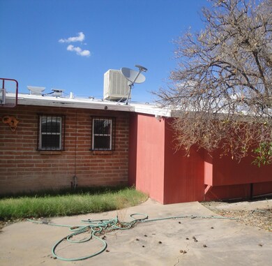 back yard