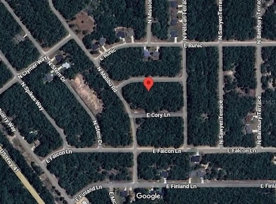 164 E Simms Ln, Citrus Springs, FL 34434 - photo 7