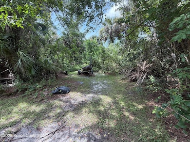 782 Micco St SW, Palm Bay, FL 32908 - photo 4