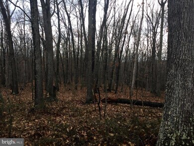 Unknown Owl Ln, Gore, VA 22637 - photo 6