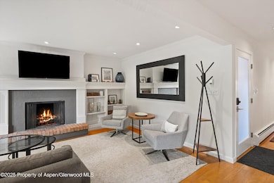 980 E Hyman Ave unit 3, Aspen, CO 81611 - photo 4