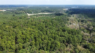 TBD- A Cr 136, Nacogdoches, TX 75961 - photo 2