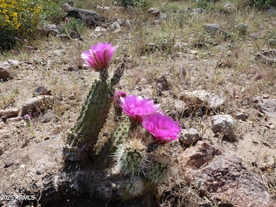 0XXXX N Columbia Mine (Lots A & B) Trail unit 75, Morristown, AZ 85342 - photo 7