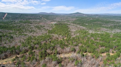 Tract 2 SE 179th, Wilburton, OK 74578 - photo 6