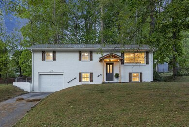 37-web-or-mls-217A3738