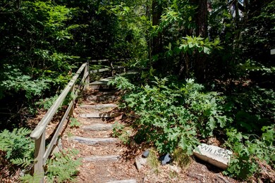 66 F r Lillie Rd, Woods Hole, MA 02543 - photo 2