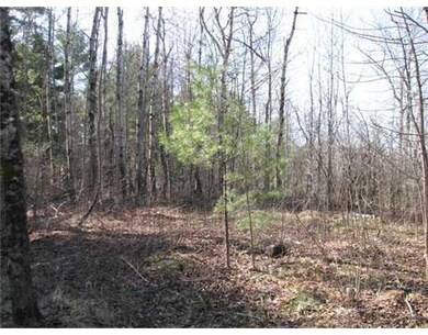 Land/Lot.
