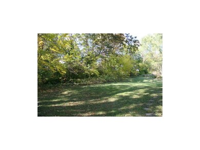 Tree line in backyard.