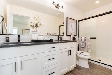 Primary bath suite