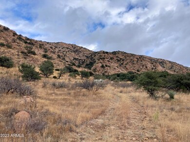 IMG-1255