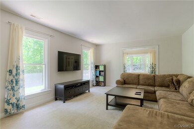 THE WINDOWS IN THE FAMILY ROOM AND THE ADJACENT DI