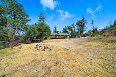 14058 Windfall Dr, Redding, CA 96003 - photo 4