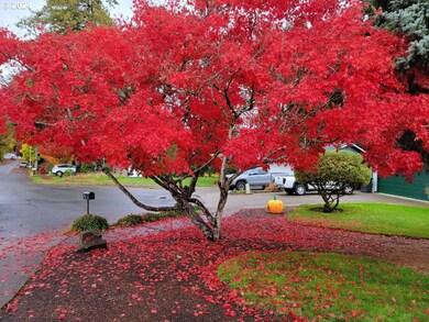 Front Yard