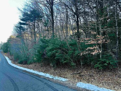 4 Cheshire Cir, Gilford, NH 03249 - photo 6