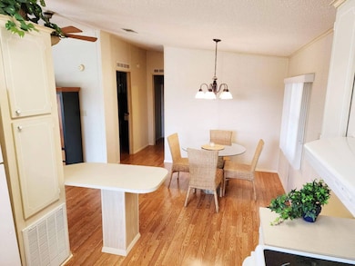 4733 12th Street Ct E, Bradenton, FL 34203 - photo 7