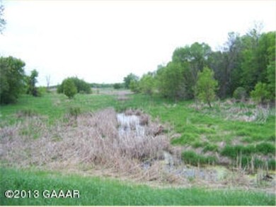 4134 Minnesota 114, Alexandria, MN 56308 - photo 3