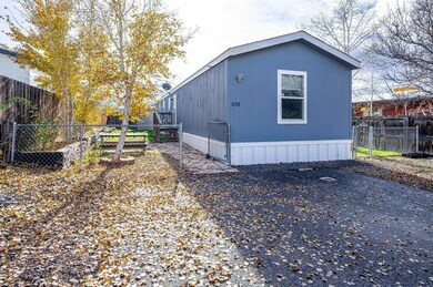 1033 Gilsonite Ave, MacK, CO 81525 - photo 3