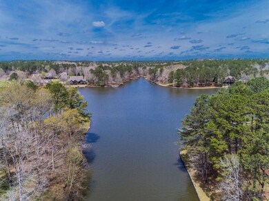 1161 Meadow Ln, Greensboro, GA 30642 - photo 5