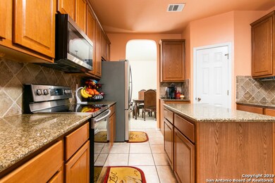 24414 Walnut Pass, San Antonio, TX 78255 - photo 5