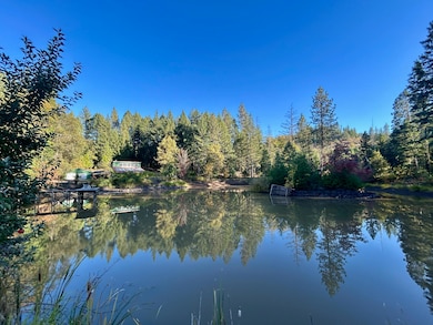 14242 Geppert Rd, Butte Falls, OR 97522 - photo 3