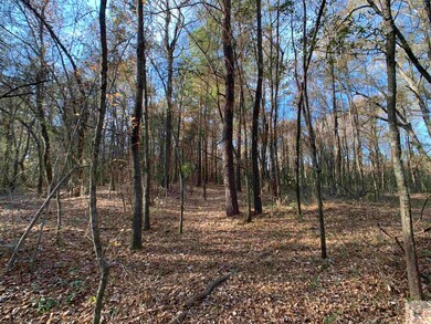 6207 Chaparral St, Texarkana, TX 75503 - photo 6