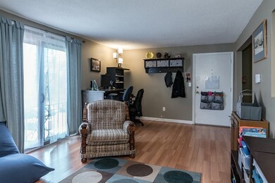 1241 Lawrence St unit 204, Lowell, MA 01852 - photo 3