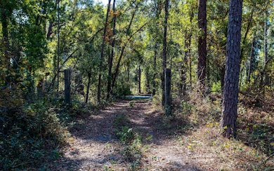 TBD N County Road 349, O'Brien, FL 32071 - photo 2