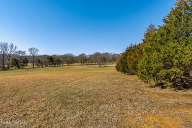 225538_23-snapsold-screen-commissary-cov