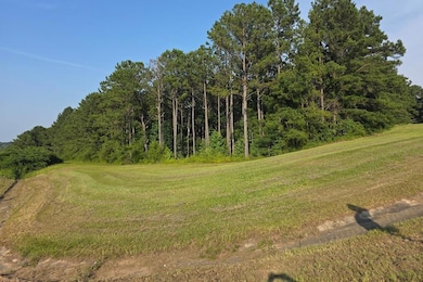 4451 Hwy 431 S, Eufaula, AL 36027 - photo 3