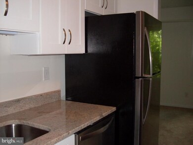 3846 Lyndhurst Dr unit 203, Fairfax, VA 22031 - photo 4