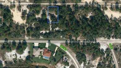 393 Morningside Dr, Lake Placid, FL 33852 - photo 2