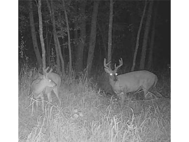 TBD Butternut Rd SE, Brainerd, MN 56401 - photo 2