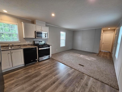 3660 S Lapeer Rd unit 127, Metamora, MI 48455 - photo 2