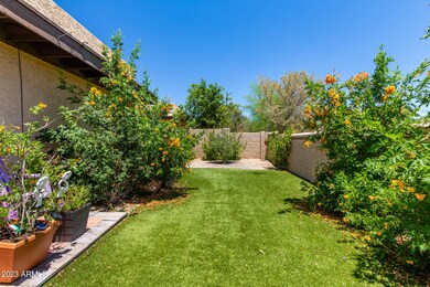 Large grassy area