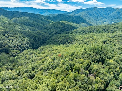 864 Stonegate Way, Townsend, TN 37882 - photo 2