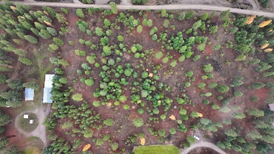 186 Gold Dust Trail, Pioneer Junction, MT 59923 - photo 4