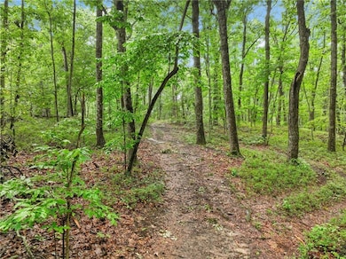 1 Cooper Bridge Rd, Gainesville, GA 30507 - photo 4