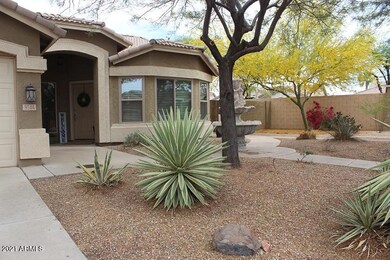 Front of Mesa Landscape