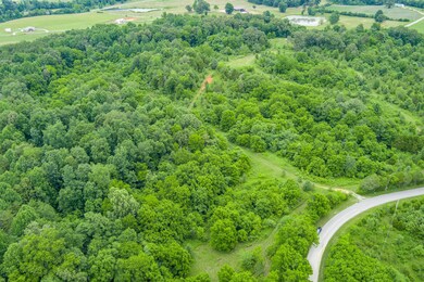 0 Center Point Acres N unit RTC2540910, Walling, TN 38587 - photo 3