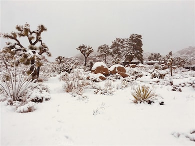 8427 Rock Haven Rd, Joshua Tree, CA 92252 - photo 3