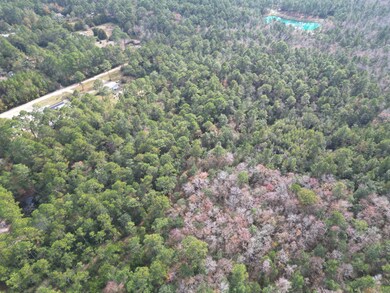 0000 Lavon Rd, Bagdad, FL 32583 - photo 5