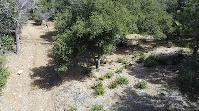 2716 Payson Dr, Julian, CA 92036 - photo 4