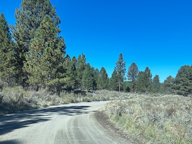 0 Glendale Dr unit 15, Beatty, OR 97621 - photo 4