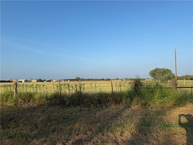 373 Cr 480( & Cr 481), Alice, TX 78332 - photo 4